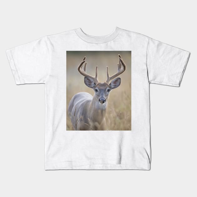 Big buck with velvet antlers Kids T-Shirt by Jim Cumming